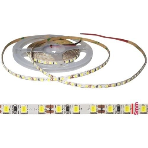 5600 Kelvin 120 Ledli Şerit Led 5mm ince pcb 5600K 5Metre