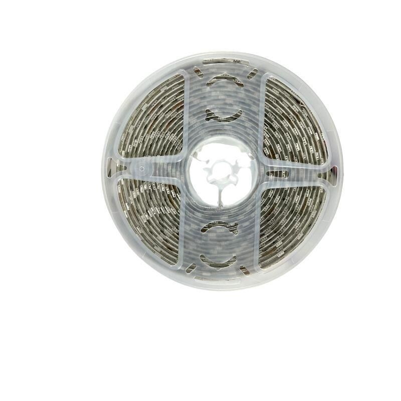 24V Şerit Led Amber (Sarı) 5050 IP65 24 Volt Şerit Led (5m)