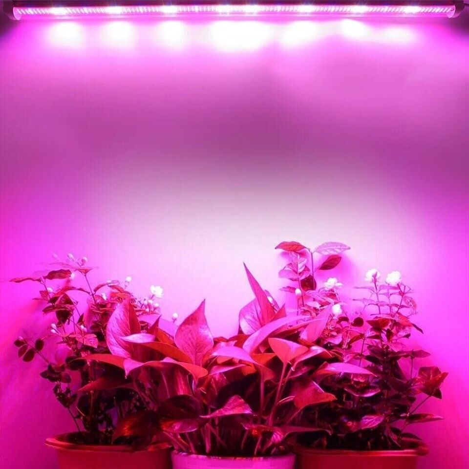 Grow Led 12V Full Spectrum Led Bitki Büyütme Ledi Alüminyum Kasalı 100cm