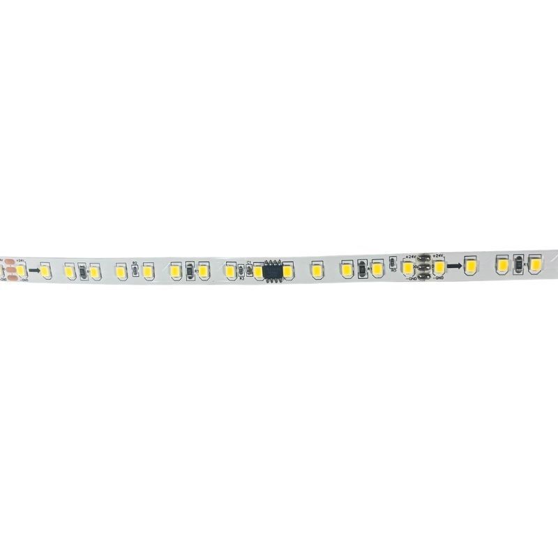 Natural Beyaz 4000K Pixel Şerit Led WS2811 2835 Ledli 120Led/M 24 Volt IP20 10M