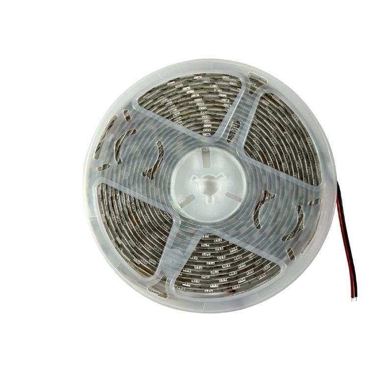 24V Şerit Led Mavi 5050 IP65 24Volt Şerit Led (5m)