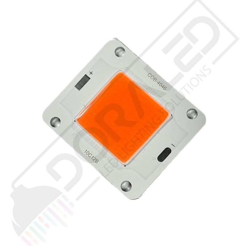 12V 50W Amber Cob Led 12 Volt 50 Watt Cob Led